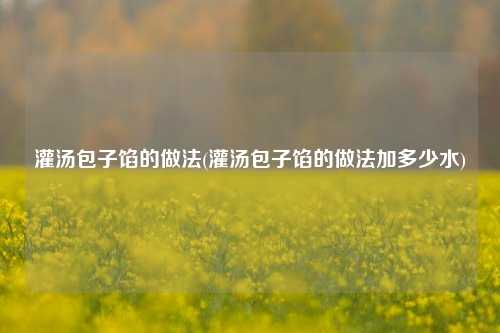 灌汤包子馅的做法(灌汤包子馅的做法加多少水)