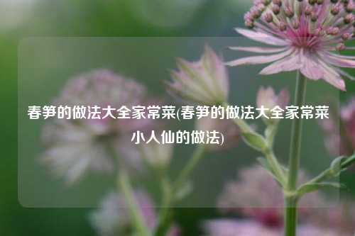 春笋的做法大全家常菜(春笋的做法大全家常菜小人仙的做法)