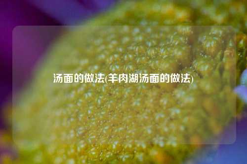汤面的做法(羊肉湖汤面的做法)