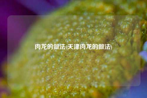 肉龙的做法(天津肉龙的做法)