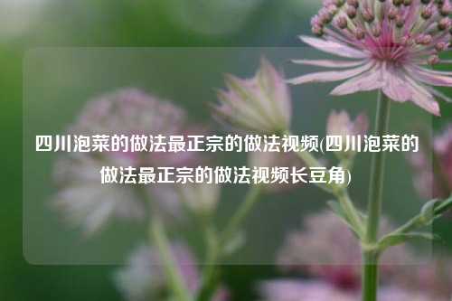 四川泡菜的做法最正宗的做法视频(四川泡菜的做法最正宗的做法视频长豆角)