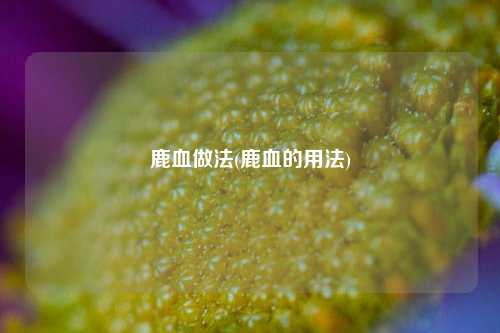 鹿血做法(鹿血的用法)