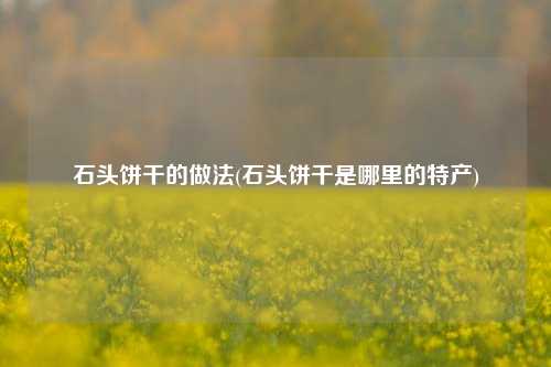 石头饼干的做法(石头饼干是哪里的特产)