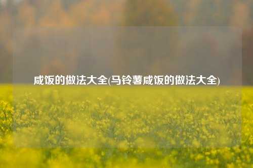 咸饭的做法大全(马铃薯咸饭的做法大全)