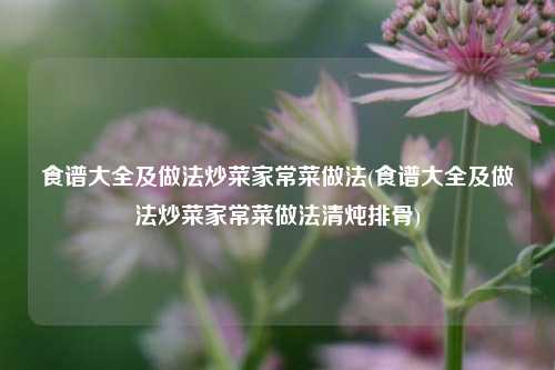 食谱大全及做法炒菜家常菜做法(食谱大全及做法炒菜家常菜做法清炖排骨)