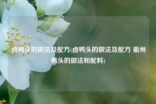 卤鸭头的做法及配方(卤鸭头的做法及配方 衢州鸭头的做法和配料)