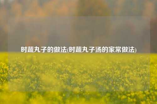 时蔬丸子的做法(时蔬丸子汤的家常做法)