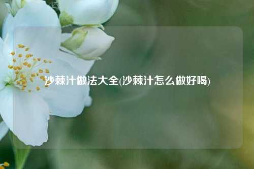 沙棘汁做法大全(沙棘汁怎么做好喝)