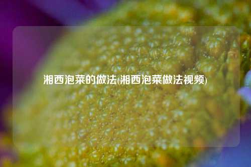 湘西泡菜的做法(湘西泡菜做法视频)