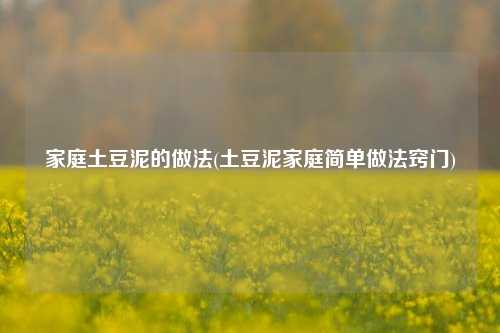 家庭土豆泥的做法(土豆泥家庭简单做法窍门)