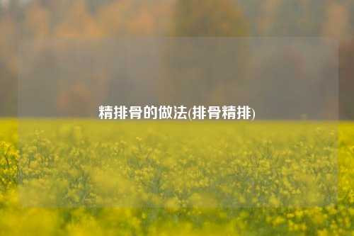 精排骨的做法(排骨精排)