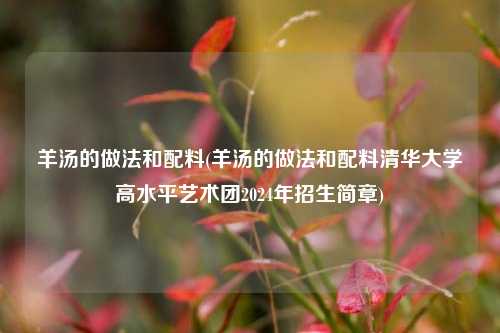 羊汤的做法和配料(羊汤的做法和配料清华大学高水平艺术团2024年招生简章)
