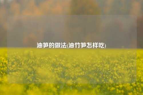 油笋的做法(油竹笋怎样吃)