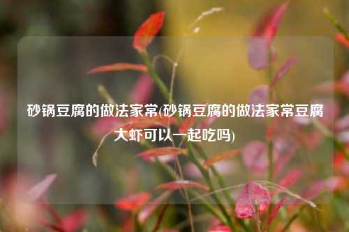 砂锅豆腐的做法家常(砂锅豆腐的做法家常豆腐大虾可以一起吃吗)