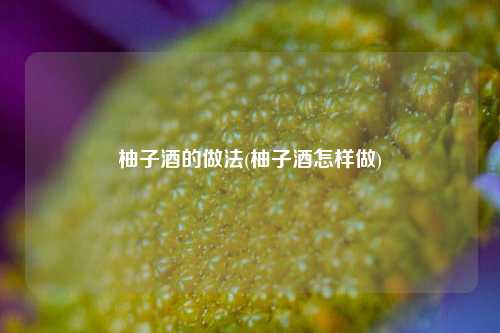 柚子酒的做法(柚子酒怎样做)