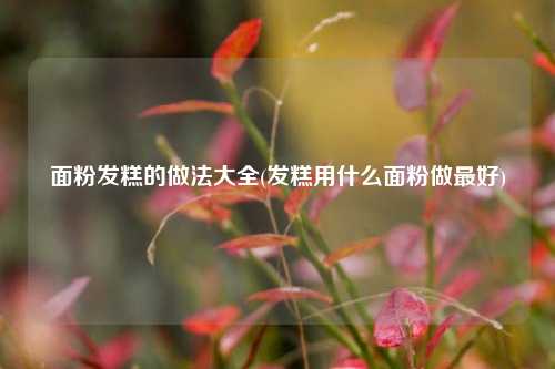 面粉发糕的做法大全(发糕用什么面粉做最好)