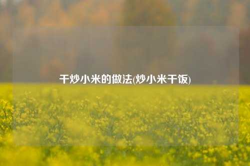 干炒小米的做法(炒小米干饭)