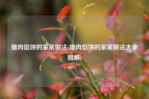 猪肉馅饼的家常做法(猪肉馅饼的家常做法大全图解)