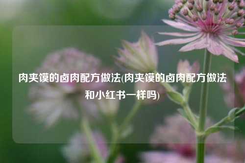 肉夹馍的卤肉配方做法(肉夹馍的卤肉配方做法和小红书一样吗)
