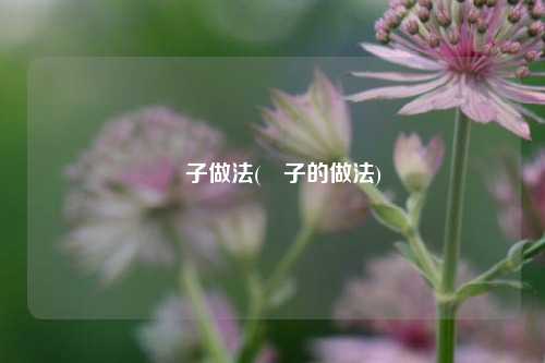 菓子做法(䅇子的做法)
