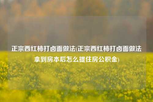 正宗西红柿打卤面做法(正宗西红柿打卤面做法拿到房本后怎么提住房公积金)