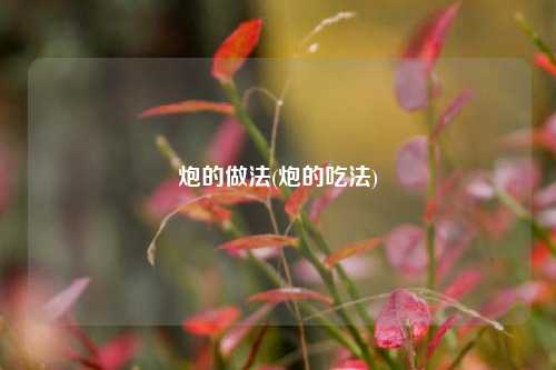 炮的做法(炮的吃法)