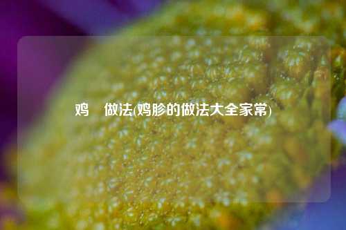 鸡趐做法(鸡胗的做法大全家常)