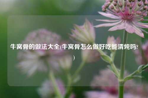 牛窝骨的做法大全(牛窝骨怎么做好吃能清炖吗?)