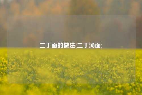 三丁面的做法(三丁汤面)