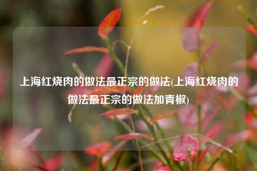 上海红烧肉的做法最正宗的做法(上海红烧肉的做法最正宗的做法加青椒)