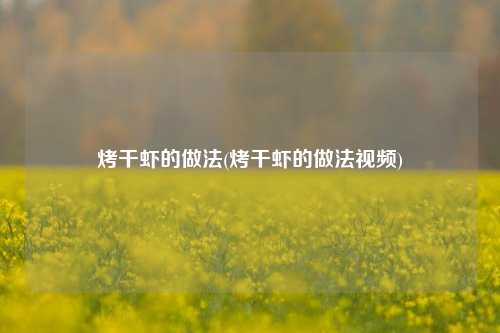 烤干虾的做法(烤干虾的做法视频)