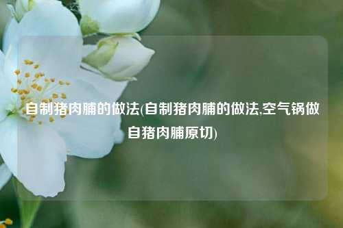 自制猪肉脯的做法(自制猪肉脯的做法,空气锅做自猪肉脯原切)