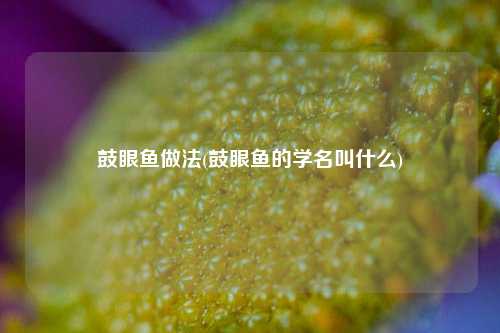 鼓眼鱼做法(鼓眼鱼的学名叫什么)